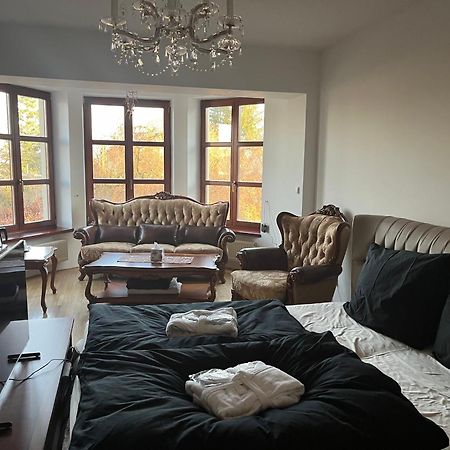 Dogs Resort And Spa Horni Bezdekov Екстер'єр фото