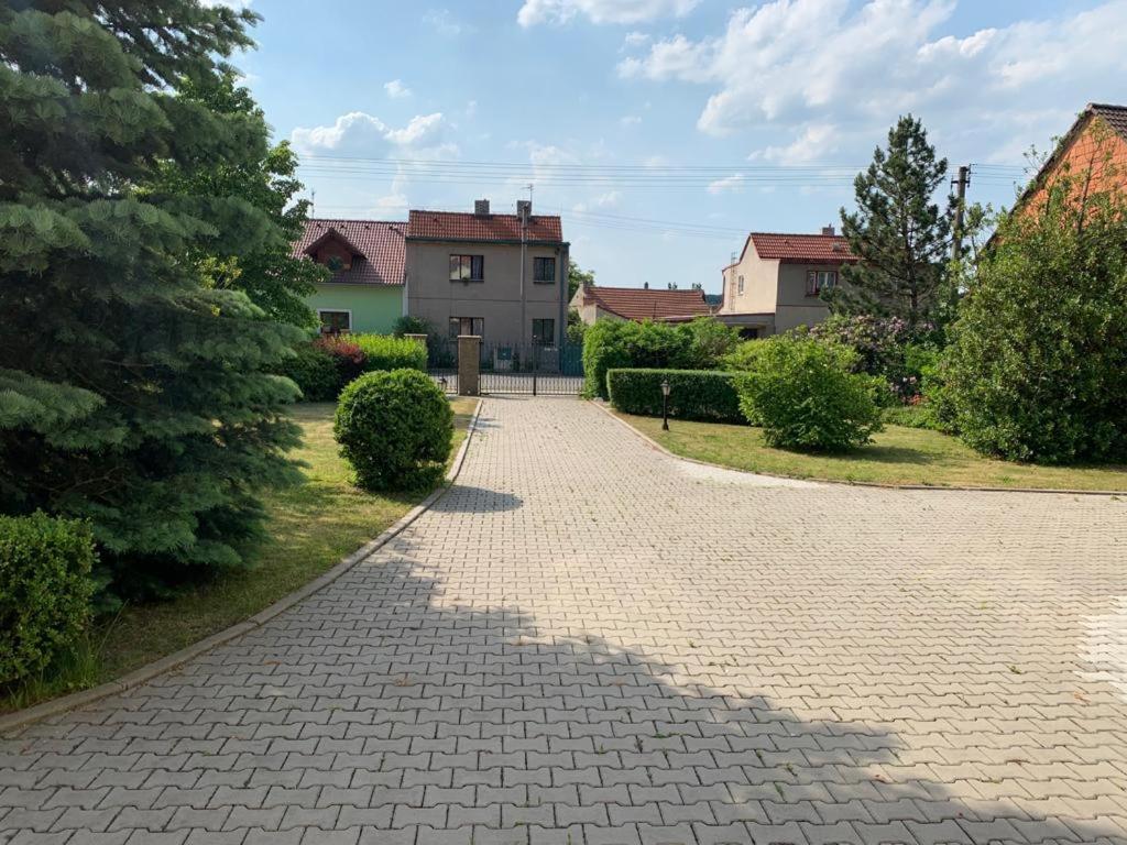 Dogs Resort And Spa Horni Bezdekov Екстер'єр фото
