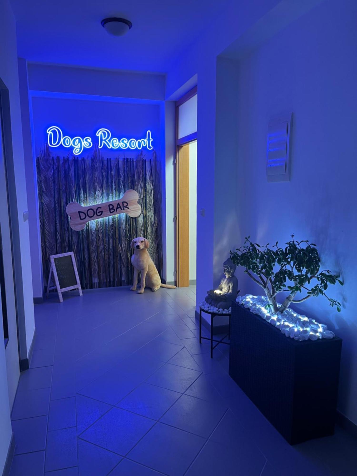 Dogs Resort And Spa Horni Bezdekov Екстер'єр фото